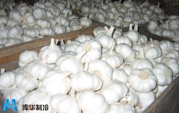 影响冷库造价的因素有哪些?