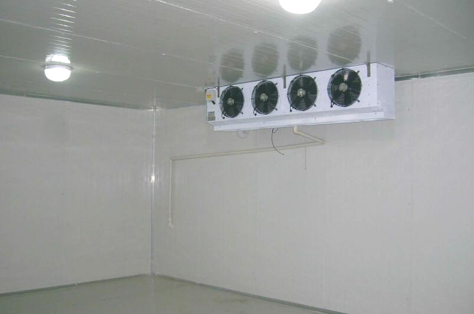 建造一个果蔬保鲜冷库需要多少钱?